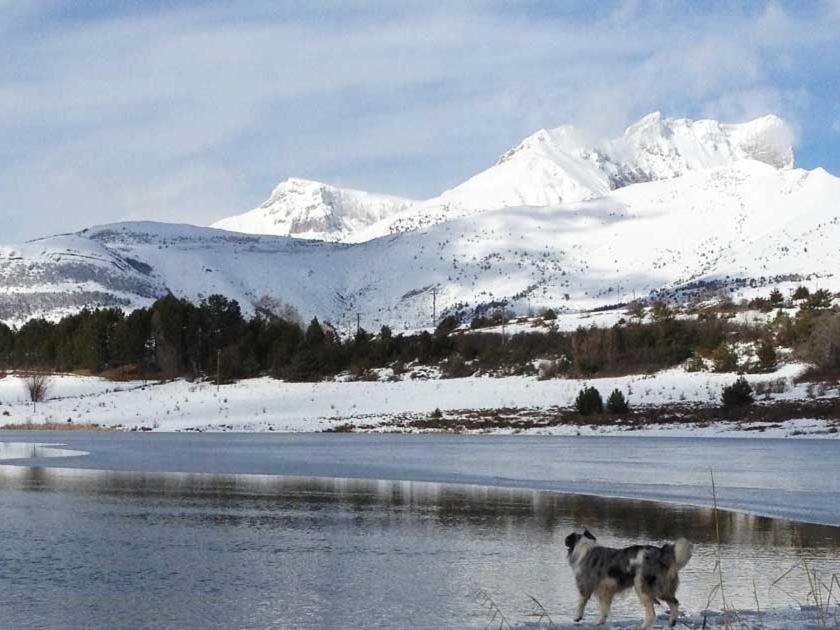 Gite Basse Correo La Freissinouse Buitenkant foto